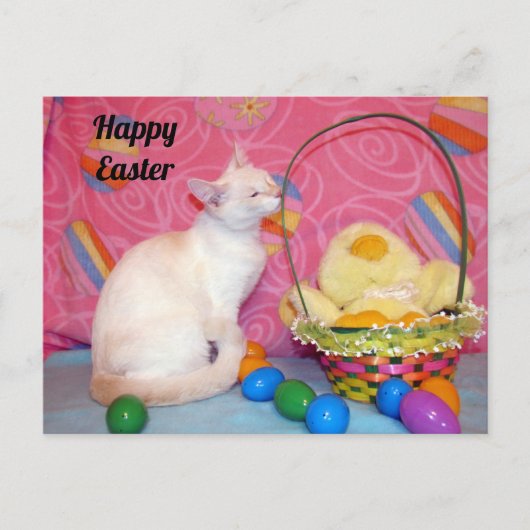 Postcrossing – ティファニーのイースターバスケット=猫 ポストカード (正面)