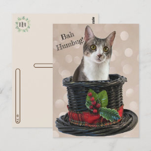 Postcrossing - バフハンバグ・ティト・ザ・キャット ポストカード