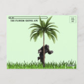 Postcrossing – フロリダの写真Skunk Ape ポストカード (裏面)