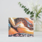 Postcrossing – ヘビ葉書の伝書 ポストカード (スタンド正面)