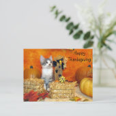Postcrossing – ポークチョップの感謝祭 – Cat ポストカード (スタンド正面)