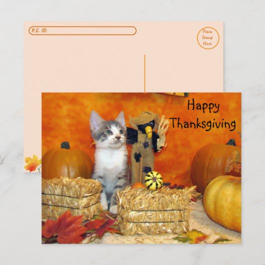 Postcrossing – ポークチョップの感謝祭 – Cat ポストカード (正面/裏面)