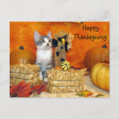 Postcrossing – ポークチョップの感謝祭 – Cat ポストカード (正面)