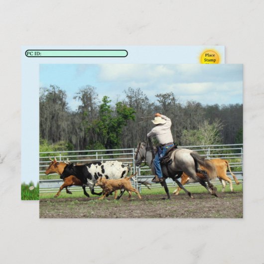 Postcrossing – ラウンドアップ – カウボーハガキ シーズンポストカード (正面/裏面)