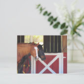 Postcrossing – 安定はがき付きの馬 ポストカード (スタンド正面)