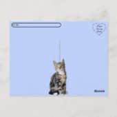 Postcrossing – 愛と猫が必要 ポストカード (裏面)