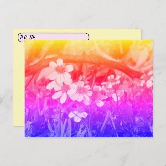 Postcrossing 70's Vibe Wildflowers、IDボックス付き ポストカード (正面/裏面)