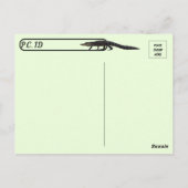 Postcrossing - Aligatorパーティーはがき ポストカード (裏面)