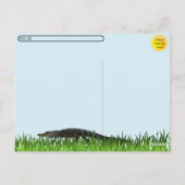 Postcrossing - Aligatorパーティーはがき ポストカード (裏面)