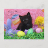 Postcrossing - Angel the Kitten's Easter Wishes ポストカード (正面)