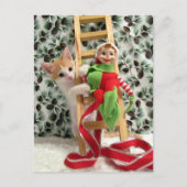 Postcrossing - Annie The Kitten and the Elf  シーズンポストカード (正面)