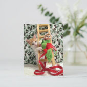 Postcrossing - Annie The Kitten and the Elf  シーズンポストカード (スタンド正面)