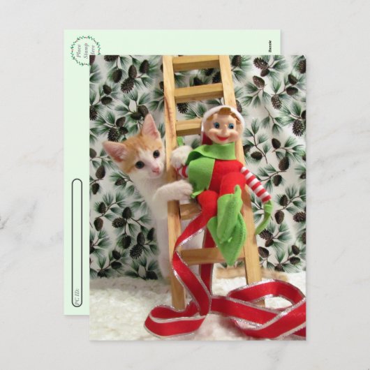 Postcrossing - Annie The Kitten and the Elf  シーズンポストカード (正面/裏面)