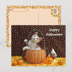 Postcrossing Annie's Curious Halloween Cat ポストカード