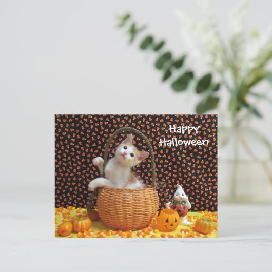 Postcrossing Annie's Curious Halloween Cat ポストカード (スタンド正面)