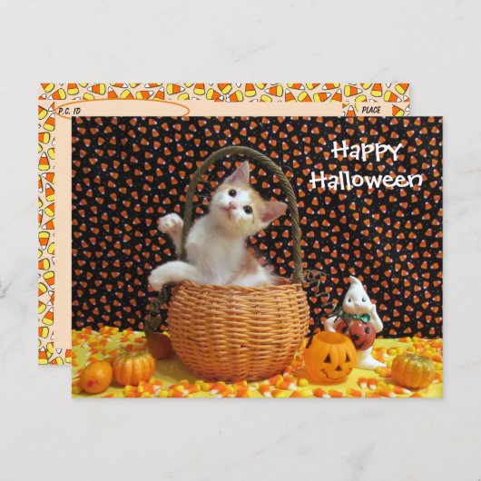 Postcrossing Annie's Curious Halloween Cat ポストカード (正面/裏面)