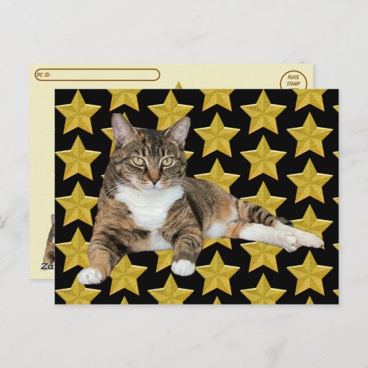 Postcrossing - Annie's Star :猫はがき ポストカード (正面/裏面)