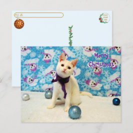 Postcrossing - Audrey's Christmas - Catポストカード ポストカード