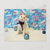 Postcrossing - Audrey's Christmas - Catポストカード ポストカード (正面)