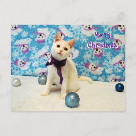 Postcrossing - Audrey's Christmas - Catポストカード ポストカード