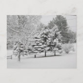 Postcrossing - B&Wでのバーモントの雪の冬 ポストカード (正面)