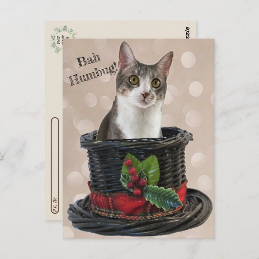 Postcrossing - Bah Humbag Tito The Cat Postcard ポストカード (正面/裏面)