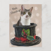 Postcrossing - Bah Humbag Tito The Cat Postcard ポストカード (正面)