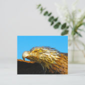 Postcrossing - Bald Eagle像 ポストカード (スタンド正面)