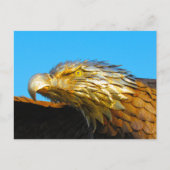 Postcrossing - Bald Eagle像 ポストカード (正面)