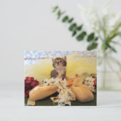 Postcrossing Ballerina Kate Cat / Kitten Posting ポストカード (スタンド正面)