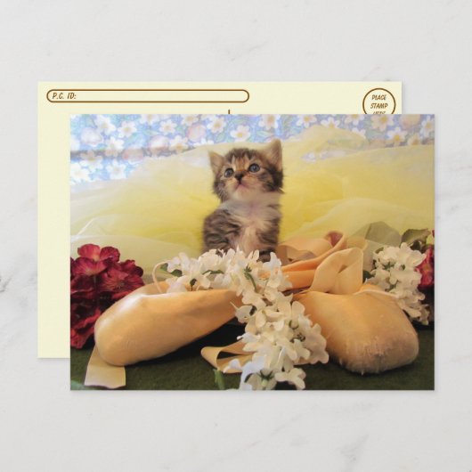 Postcrossing Ballerina Kate Cat / Kitten Posting ポストカード (正面/裏面)