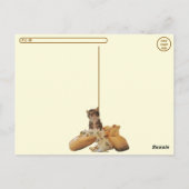 Postcrossing Ballerina Kate Cat / Kitten Posting ポストカード (裏面)