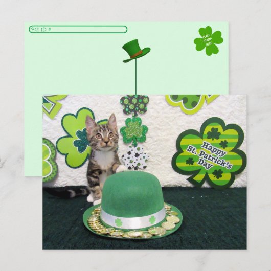 Postcrossing - Bandit The Cat's St. Patrick's Day ポストカード (正面/裏面)