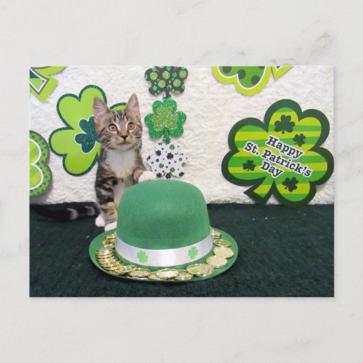 Postcrossing - Bandit The Cat's St. Patrick's Day ポストカード (正面)