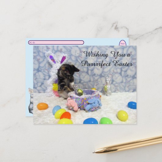 Postcrossing Bandit's Easter - Cat / Kitten Easter シーズンポストカード (正面/裏面インサイチュ)