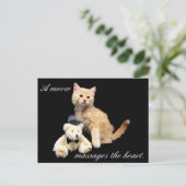 Postcrossing - Cat Pic - Sundrop and Teddy Bear ポストカード (スタンド正面)