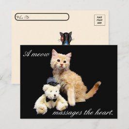 Postcrossing - Cat Pic - Sundrop and Teddy Bear ポストカード