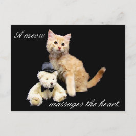 Postcrossing - Cat Pic - Sundrop and Teddy Bear ポストカード