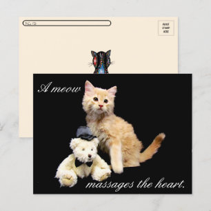 Postcrossing - Cat Pic - Sundrop and Teddy Bear ポストカード