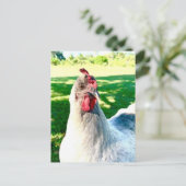 Postcrossing Chicken Postcard - Farm Life Series ポストカード (スタンド正面)