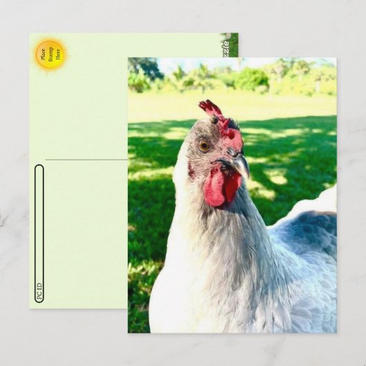 Postcrossing Chicken Postcard - Farm Life Series ポストカード (正面/裏面)