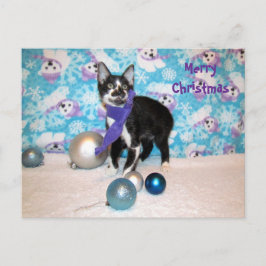 Postcrossing - Cowboy's Christmas - Cat Postcard ポストカード