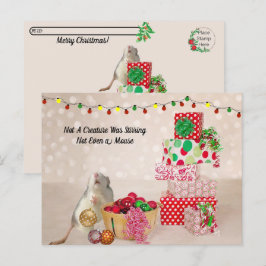 Postcrossing - Cute Rat 飾 For Christmas ポストカード