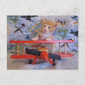 Postcrossing = Dolce the Cat's Airplane Postcrossi ポストカード (正面)