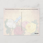 Postcrossing Dragonfly – はがき (裏面)