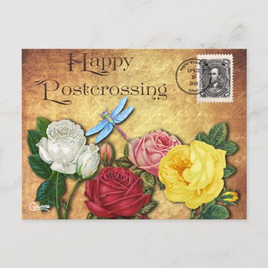 Postcrossing Dragonfly – はがき (正面)