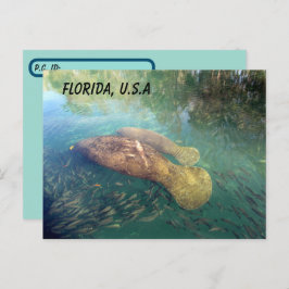Postcrossing Florida Managerおよびベビーw ID Box ポストカード