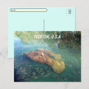 Postcrossing Florida Managerおよびベビーw ID Box ポストカード