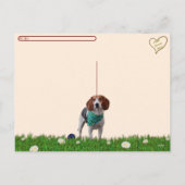Postcrossing - Foxhound Postcard シーズンポストカード (裏面)
