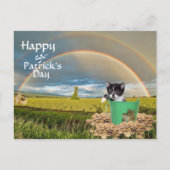Postcrossing - Foxi Moxi Cat's St. Patrick's Day ポストカード (正面)